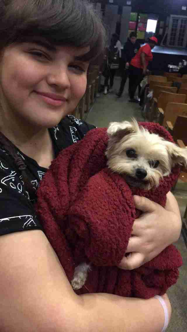 Woman Reunites With Lost Dog 11 Years After He Went Missing Woman Reunites With Lost Dog 11 Years After He Went Missing