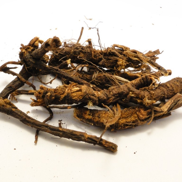 The Lung Cleansing Benefits of Osha Root