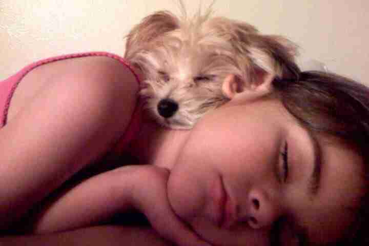 Woman Reunites With Lost Dog 11 Years After He Went Missing Woman Reunites With Lost Dog 11 Years After He Went Missing