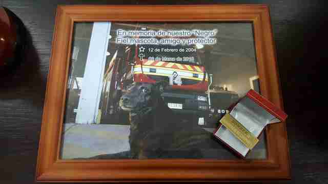 Firefighters Give The Sweetest Goodbye To Their Beloved Station Dog Firefighters Give The Sweetest Goodbye To Their Beloved Station Dog