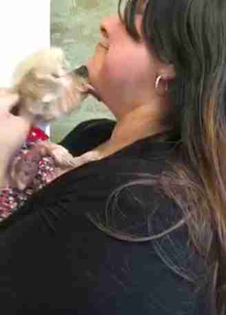 Woman Reunites With Lost Dog 11 Years After He Went Missing Woman Reunites With Lost Dog 11 Years After He Went Missing