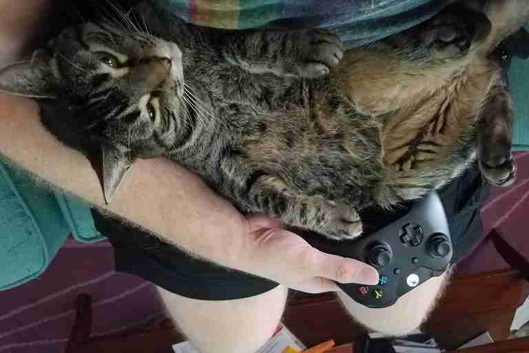 Jordan tries to play video games with cat Sophie on his lap