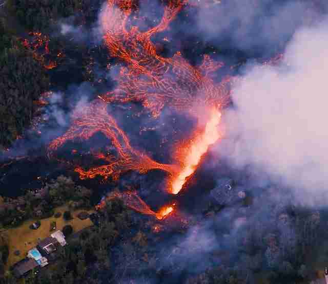 2 Little Dogs Trapped By Lava Flows Are Saved Just In Time 2 Little Dogs Trapped By Lava Flows Are Saved Just In Time