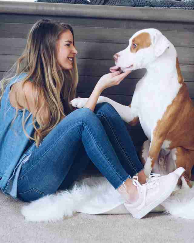 dog suffocation awareness bags