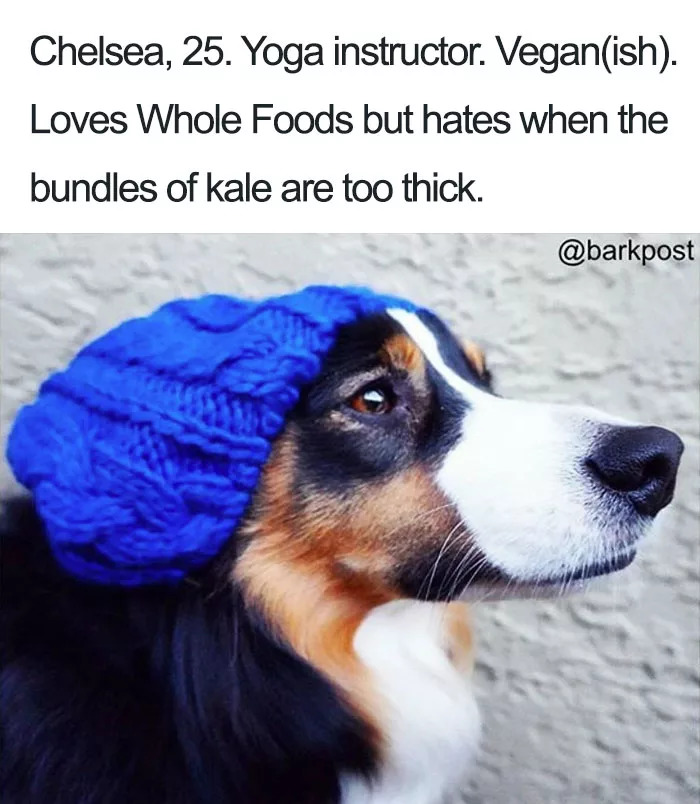 Hilarious Dog Bio’s That Will Probably Remind You Of Someone You Know
