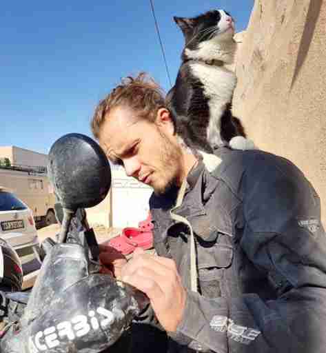 Man Finds Street Cat And Brings Her On The Most Incredible Road Trip Man Finds Street Cat And Brings Her On The Most Incredible Road Trip