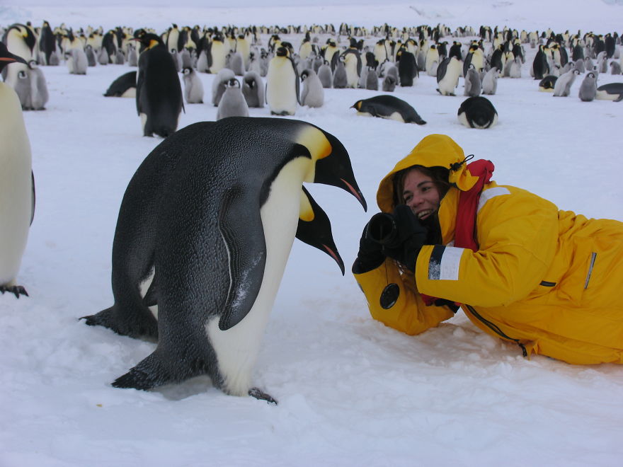 Behind The Scenes Of A Wildlife Photographer