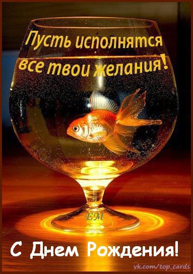 Плисецкая как похудеть Плисецкая как похудеть