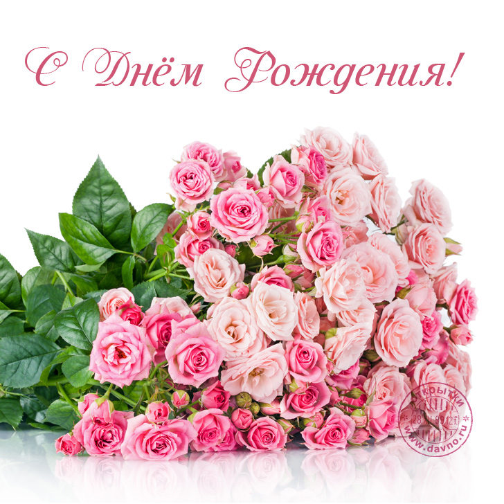 Открытки с цветами ко дню рождения девушке Открытки с цветами ко дню рождения девушке