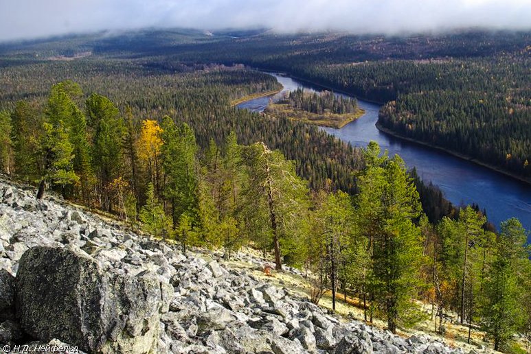 Река Печора в лесах Республики Коми. Фото