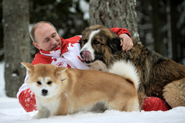 In fact, Putin owns several dogs, and enjoys frolicking with them in the snow.