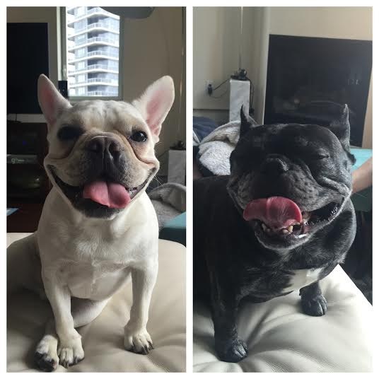 "A welcoming committee for guests, &amp; waking up to those two faces everyday!" — Nicole B.