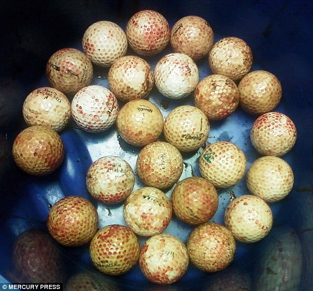 The golf balls once they had been surgically removed from Zeus after he swallowed them all in one go 