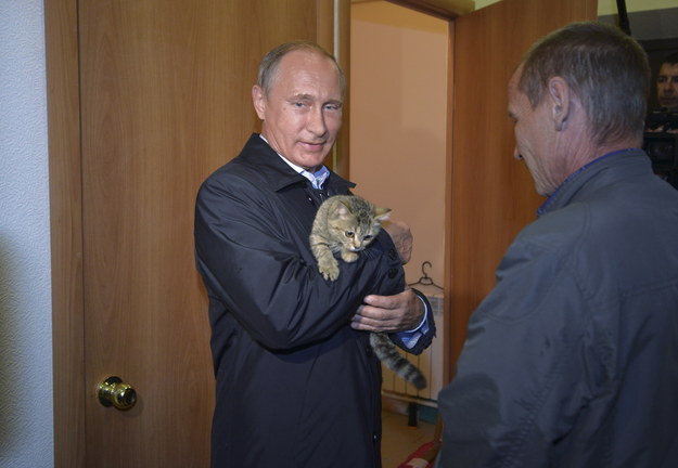 Russian President Vladimir Putin took time out from his busy schedule diving to the bottom of the sea and meeting Steven Seagal to pet a cat while in the Siberian region of Khakasia on Friday.
