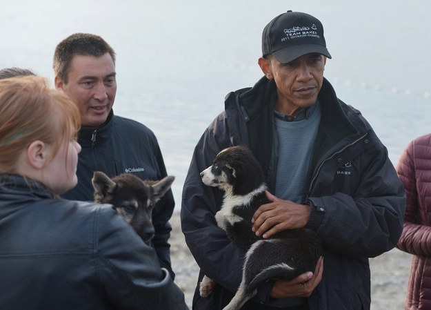So what could this shift mean? Why now? What could be behind Putin's sudden embrace of cats? ...But wait. What's this?