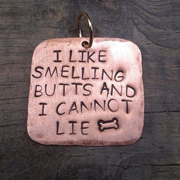 I Like Smelling Butts And I Cannot Lie