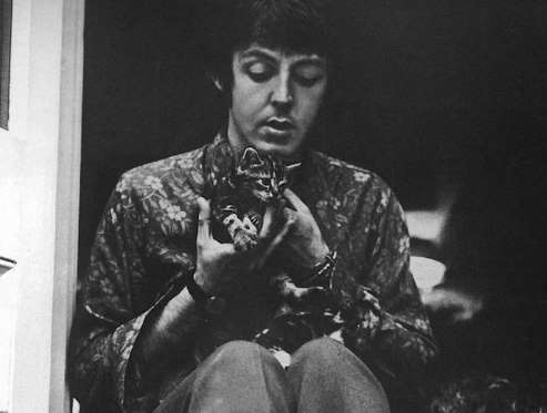 <p>"I had a litter of cats called Jesus, Mary and Joseph," said McCartney. "Jesus ran off, Joseph stuck around for a long time, and Mary had kittens."</p>