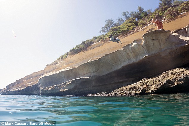 Titti, the diving Jack Russell takes off from the cliff edge while diving with her owner Carmelo Abela in Malta 
