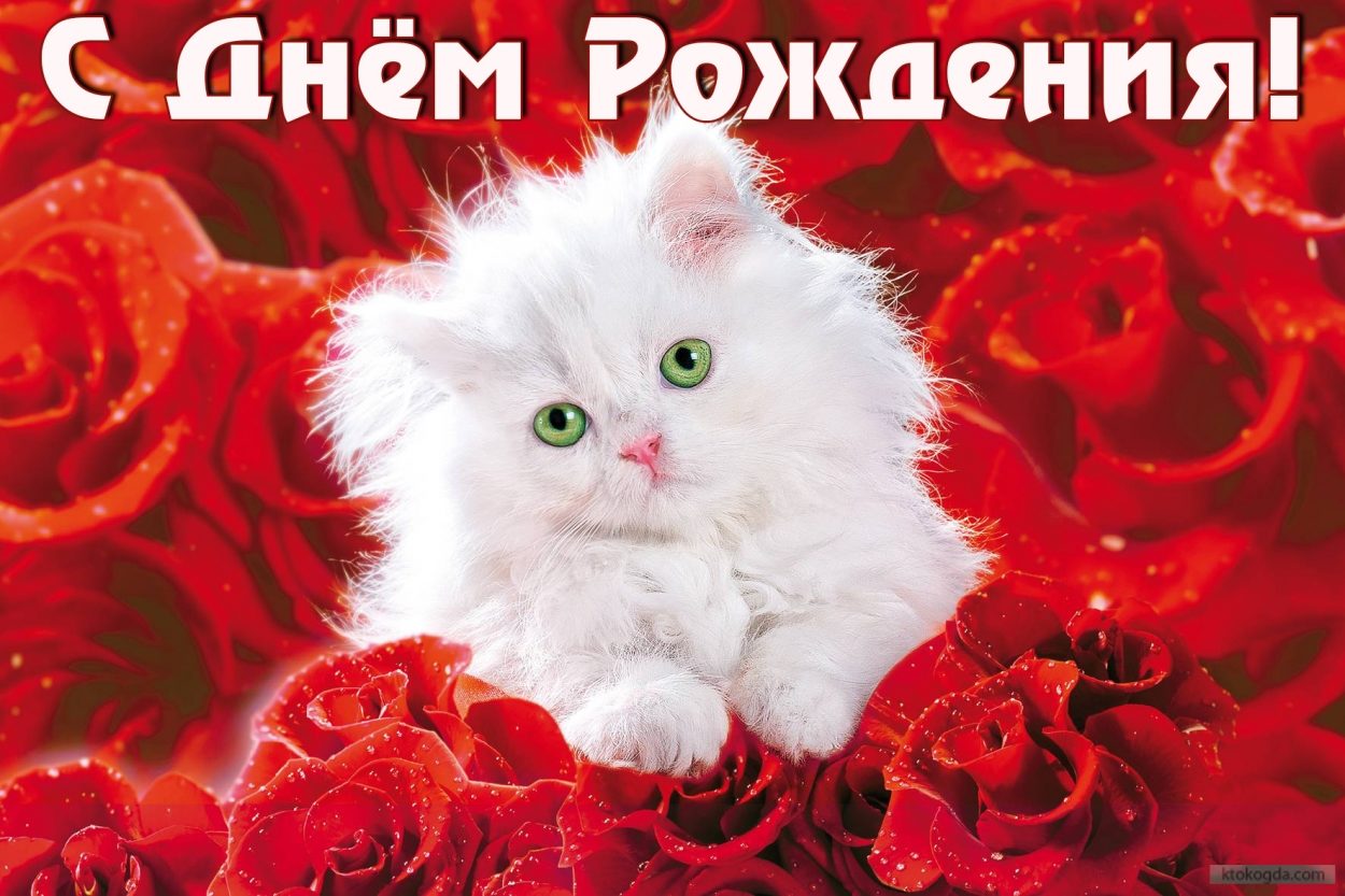 Доброе и красивое поздравление с днём рождения Доброе и красивое поздравление с днём рождения