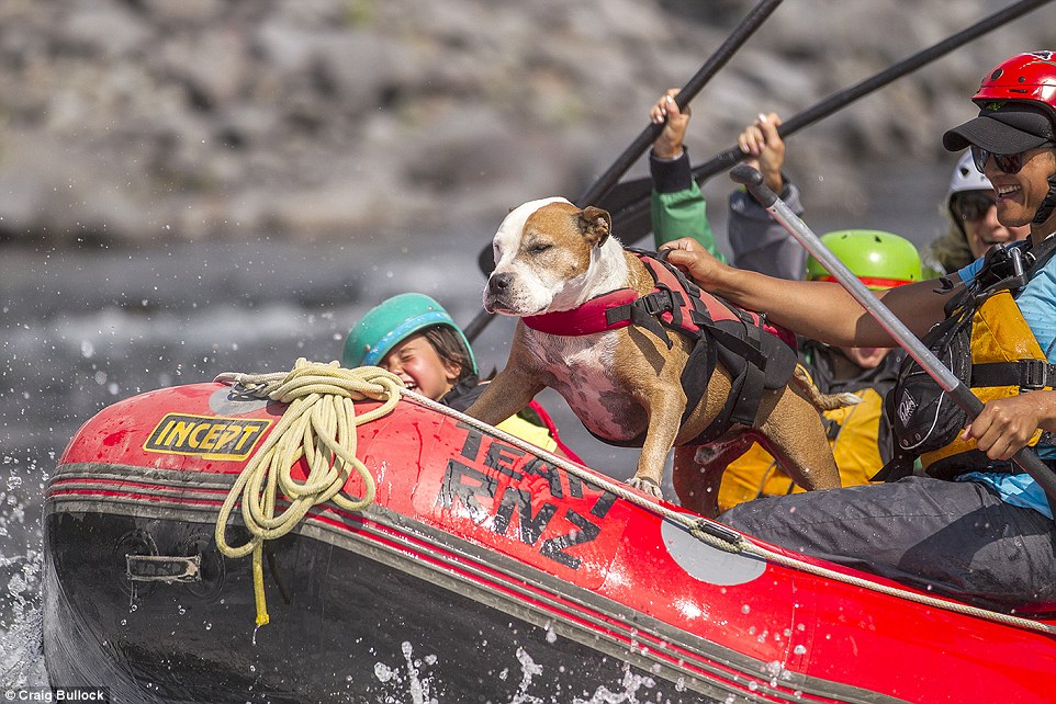 Thrill-seeker: Bruno joins a group rafting on the Tongariro River much to the amusement of those on board