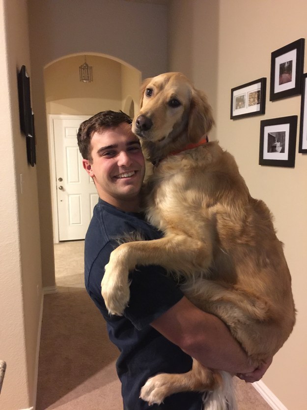 This dog that just wanted his human to scratch that hard-to-reach spot on his back and doesn't care about posing for pictures.