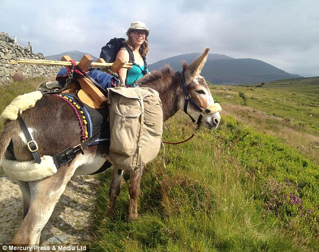 Stunning scenery: The journalist and the donkey spent all day in the fresh air, admiring the Welsh countryside