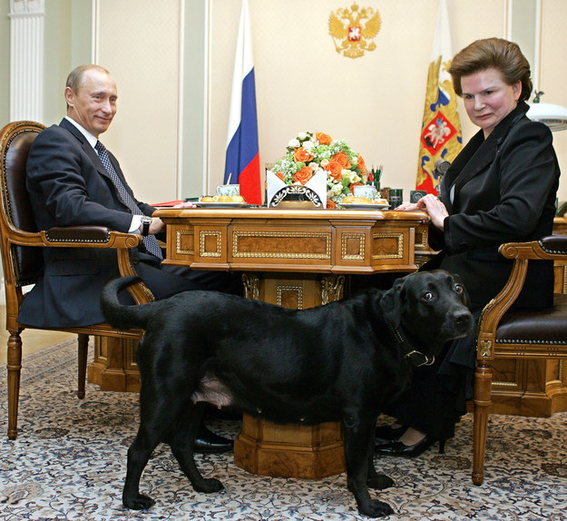 Koni, his beloved black labrador, is even allowed to wander in on official meetings — once famously earning the ire of Angela Merkel, who is scared of dogs.