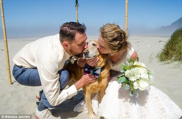 Big day: Cassidy Williams went to great lengths to get her childhood pet Dood - who is dying of bone cancer - from Utah to her beach wedding in Manzanita, Oregon. She is seen here with Dood and husband Matthijs. Picture by natalyajenneyphotography.weebly.com