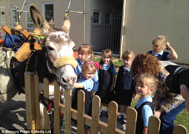 Little donkey: Chico enjoyed the attentions of some young schoolchildren during his Welsh odyssey