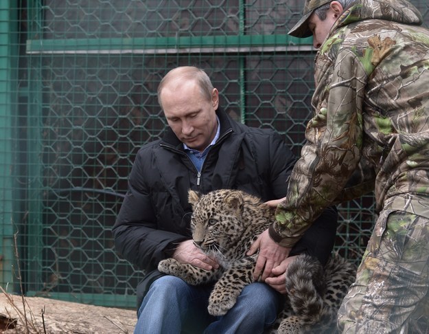 Kremlinologists noted the appearance with the cat — who did not respond to BuzzFeed News' request for comment — was a marked shift in pet policy for Putin, who has previously only appeared with larger felines like tigers and this leopard.