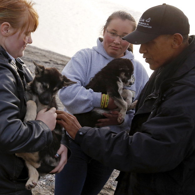Could it be that Putin's feline fete was inspired by U.S. President Barack Obama, recently returned from his own Putin-esque wilderness adventure in Alaska, petting these Iditarod puppies only a day earlier?
