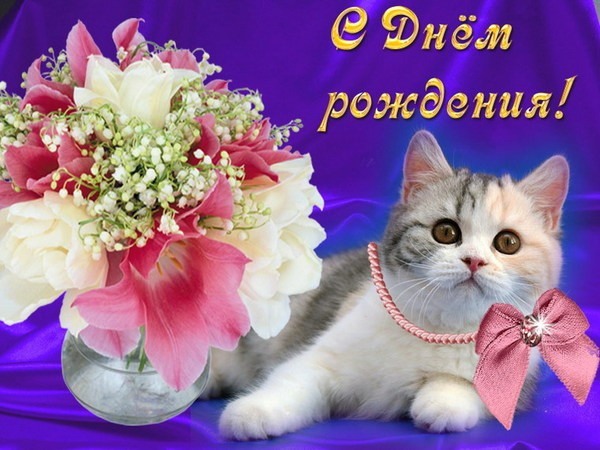 Открытки с днём рождения маме от дочки с котиками Открытки с днём рождения маме от дочки с котиками