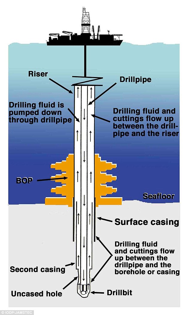 The ship used an enormous deep sea drill to retrieve intact cores of the rock and coal from below the seafloor. Scientists now believe there could be many other microbes living within the coal beds, helping each other to survive in an ecosystem