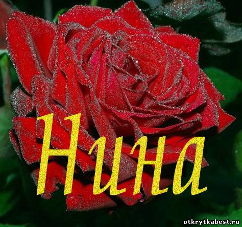 Нина именные поздравления 97
