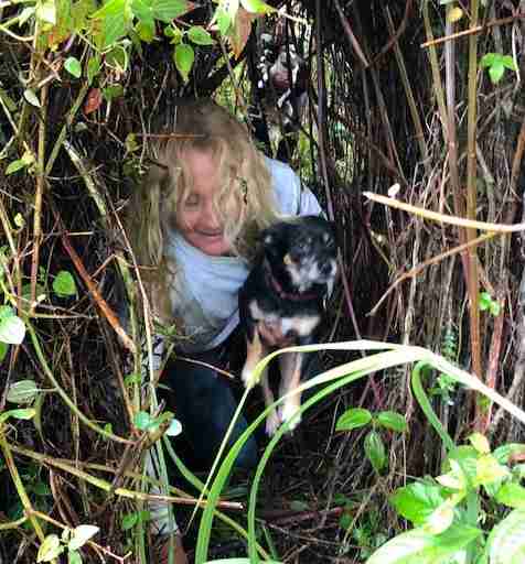 2 Little Dogs Trapped By Lava Flows Are Saved Just In Time 2 Little Dogs Trapped By Lava Flows Are Saved Just In Time