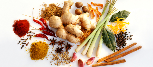 Nadia Volf, Joël Robuchon, neuropharmacologist, chef, meals for the mind body and soul, food and life cookbook, cookbooks, healthy recipes, nutrition, body, health, Fall grocery list, food for fall, food for winter, seasonal eating, q by equinox, how to eat, michelin-starred food