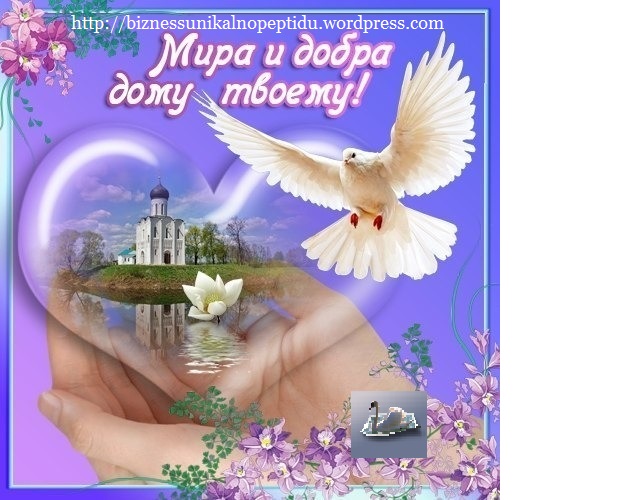 Поздравления с пожеланием мира Поздравления с пожеланием мира