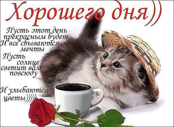 Прикольные поздравления хорошего дня 38