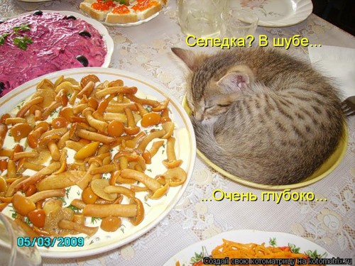 Стих что в тарелке у меня Стих что в тарелке у меня