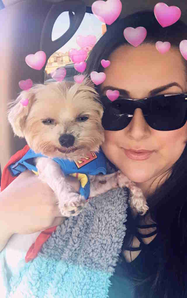 Woman Reunites With Lost Dog 11 Years After He Went Missing Woman Reunites With Lost Dog 11 Years After He Went Missing