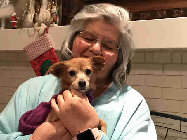 People Send Sweaters To 'Naked' Dog Who Loves To Be Cozy People Send Sweaters To 'Naked' Dog Who Loves To Be Cozy
