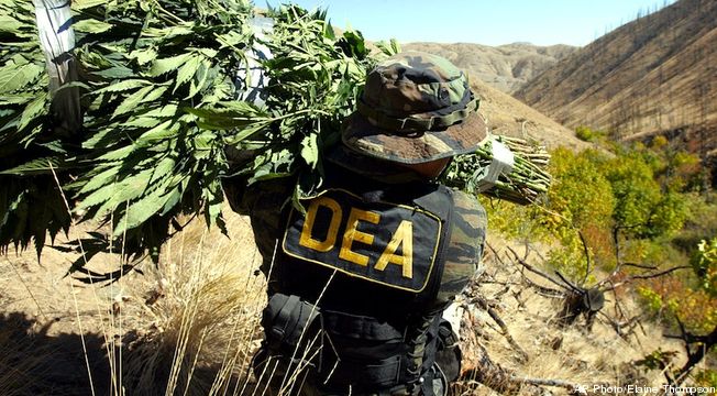 US War On Marijuana Coming To An End