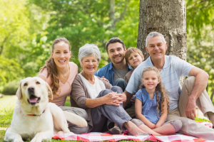 Portrait of an extended family with their pet dog sitting at the park