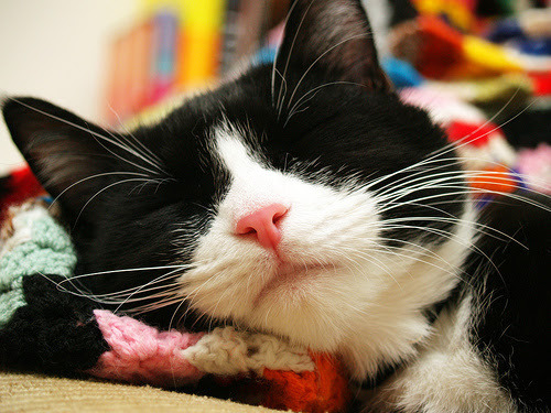 Beautiful Sleeper