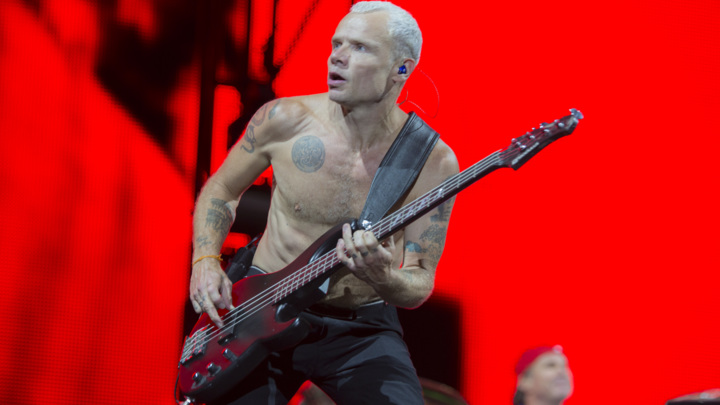 Flea from Red Hot Chili Peppers performs on June 14th, 2014 in Newport, Isle of Wright.