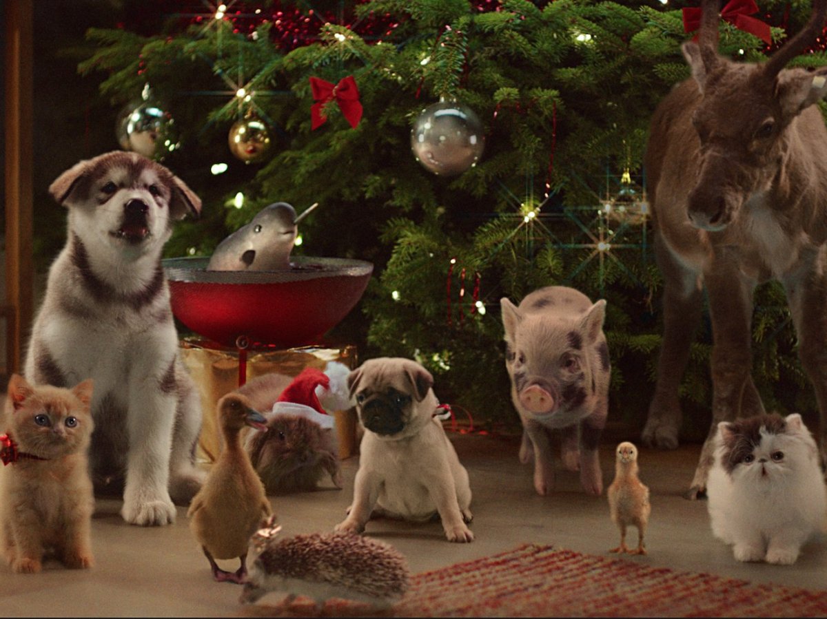 McVities Christmas Animals Ad