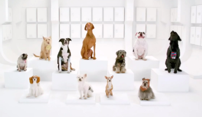 barkside