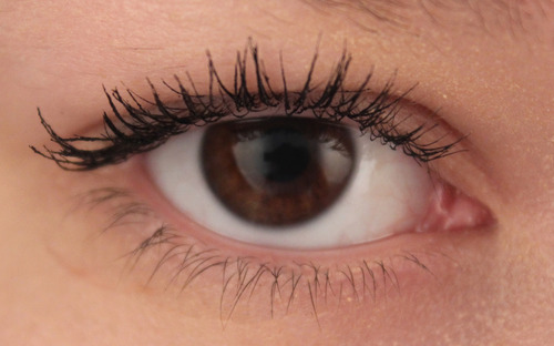 curled lash difference