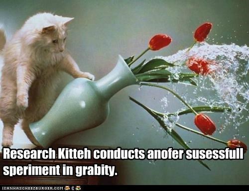Research Kitteh conducts anofer susessfull speriment in grabity.