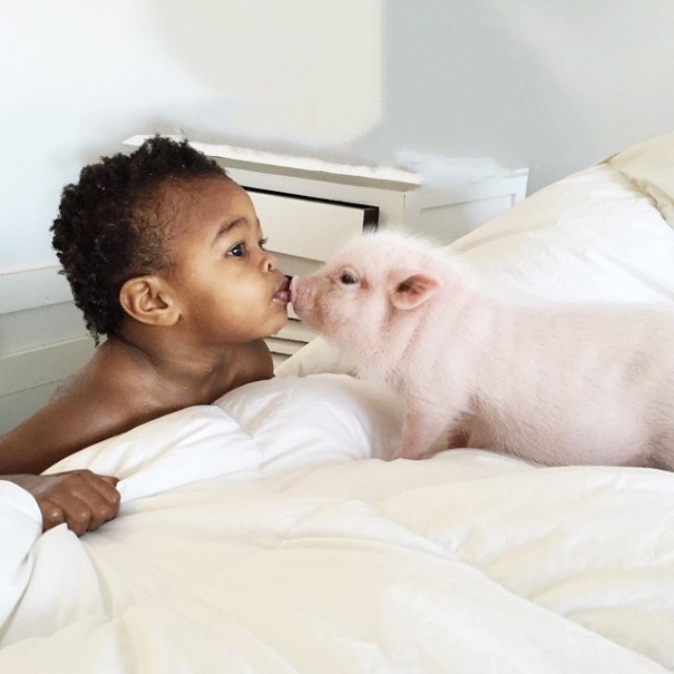 little-girl-piglet-friendship-libby-and-pearl-1